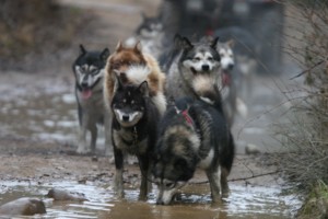 Photos_FRED_2012 350